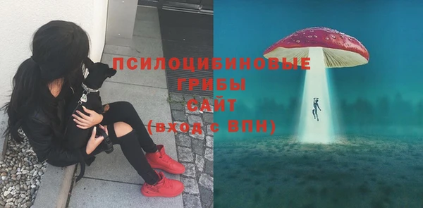 меф Горнозаводск