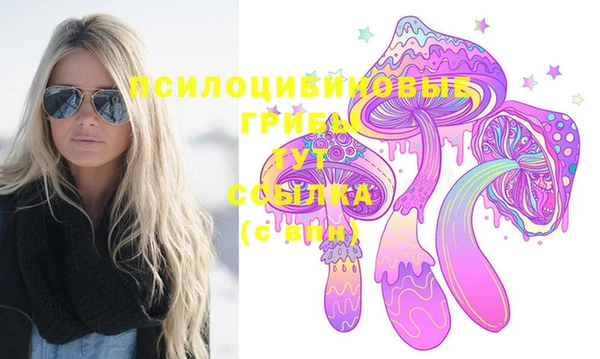 меф Горнозаводск