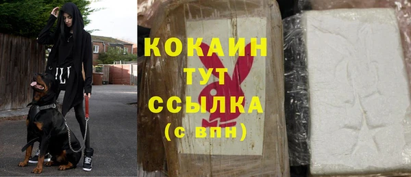 прущий лед Горняк