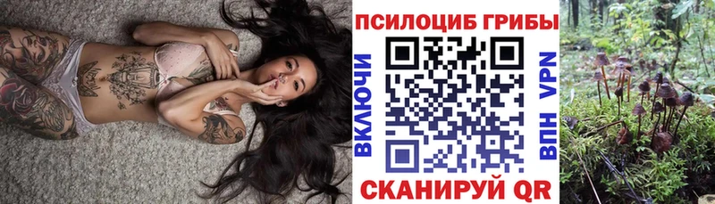Купить где  Волгодонск  Псилоцибиновые грибы мицелий 